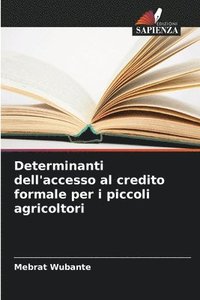 bokomslag Determinanti dell'accesso al credito formale per i piccoli agricoltori