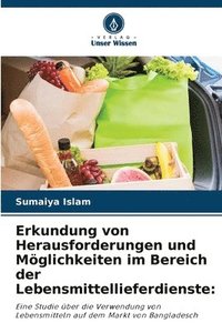 bokomslag Erkundung von Herausforderungen und Möglichkeiten im Bereich der Lebensmittellieferdienste: