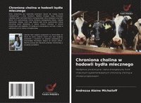 bokomslag Chroniona cholina w hodowli bydla mlecznego