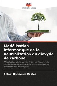 bokomslag Modélisation informatique de la neutralisation du dioxyde de carbone
