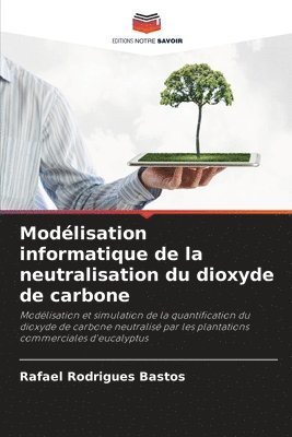 bokomslag Modélisation informatique de la neutralisation du dioxyde de carbone