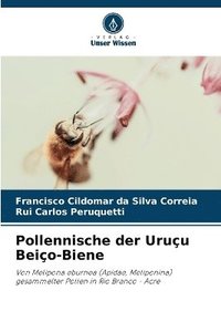 bokomslag Pollennische der Uruçu Beiço-Biene