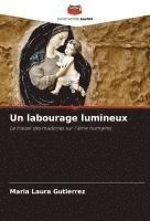 bokomslag Un labourage lumineux