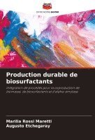 bokomslag Production durable de biosurfactants