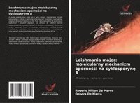 bokomslag Leishmania major: molekularny mechanizm oporno¿ci na cyklosporyn¿ A
