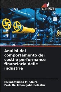 bokomslag Analisi del comportamento dei costi e performance finanziaria delle industrie