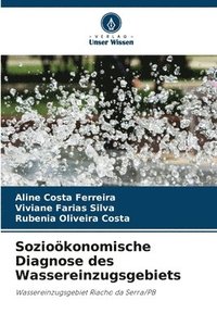 bokomslag Sozioökonomische Diagnose des Wassereinzugsgebiets