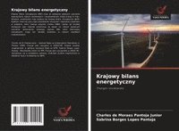 bokomslag Krajowy bilans energetyczny