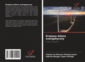 bokomslag Krajowy bilans energetyczny