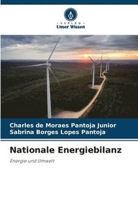 bokomslag Nationale Energiebilanz