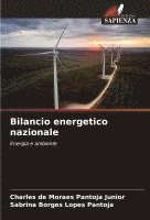 bokomslag Bilancio energetico nazionale