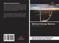 bokomslag National Energy Balance