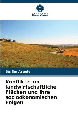 bokomslag Konflikte um landwirtschaftliche Flächen und ihre sozioökonomischen Folgen