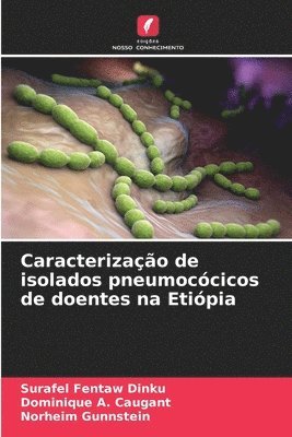 bokomslag Caracterização de isolados pneumocócicos de doentes na Etiópia