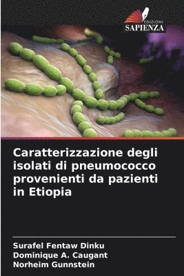 Surafel Fentaw Dinku, Dominique A Caugant, Norheim Gunnstein, Dominique A. Caugant - Caratterizzazione degli isolati di pneumococco provenienti da pazienti in Etiopia, Häftad