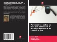 bokomslag Perspectivas sobre as vias que conduzem à diabetes mellitus e às complicações