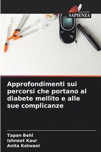 bokomslag Approfondimenti sui percorsi che portano al diabete mellito e alle sue complicanze