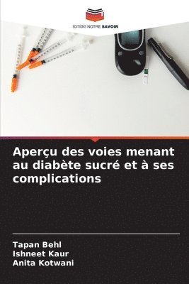 bokomslag Aperçu des voies menant au diabète sucré et à ses complications