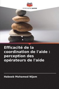 bokomslag Efficacité de la coordination de l'aide: perception des opérateurs de l'aide