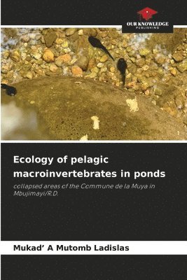 bokomslag Ecology of pelagic macroinvertebrates in ponds