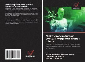 Maria Veronilda Macedo Souto, Carlson P. de Souza, Carlson p de Souza, Uilame U. Gomes - Niskotemperaturowa synteza węglików niobu i miedzi, Häftad