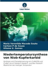 bokomslag Niedertemperatursynthese von Niob-Kupferkarbid