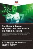 bokomslag Synthèse à basse température de carbure de niobium-cuivre