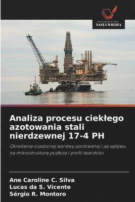Ane Caroline C Silva, Lucas Da S Vicente, Sérgio R Montoro, Ane Caroline C. Silva, Lucas Da S. Vicente, Lucas da S. Vicente, Sérgio R. Montoro - Analiza procesu cieklego azotowania stali nierdzewnej 17-4 PH, Häftad