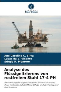 bokomslag Analyse des Flüssignitrierens von rostfreiem Stahl 17-4 PH