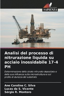 Ane Caroline C Silva, Lucas Da S Vicente, Sérgio R Montoro, Ane Caroline C. Silva, Lucas Da S. Vicente, Lucas da S. Vicente, Sérgio R. Montoro - Analisi del processo di nitrurazione liquida su acciaio inossidabile 17-4 PH, Häftad