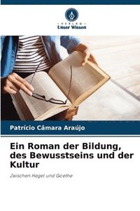 bokomslag Roman der Bildung, des Bewusstseins und der Kultur