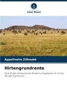 bokomslag Hirtengrundrente