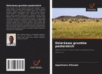 bokomslag Dzier¿awa gruntów pasterskich
