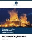 bokomslag Wasser-Energie-Nexus