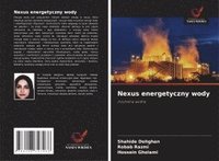 bokomslag Nexus energetyczny wody