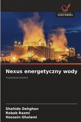 Shahide Dehghan, Robab Razmi, Hossein Gholami - Nexus energetyczny wody, Häftad
