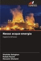 bokomslag Nesso acqua-energia