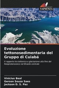 bokomslag Evoluzione tettonosedimentaria del Gruppo di Cuiabá