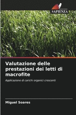Valutazione delle prestazioni dei letti di macrofite