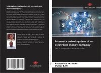 bokomslag Internal control system of an electronic money company