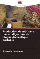 bokomslag Production de méthane par un digesteur de biogaz domestique portable