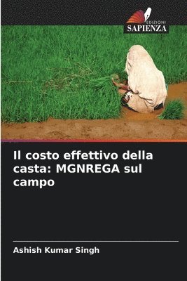 bokomslag Il costo effettivo della casta: MGNREGA sul campo
