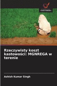 bokomslag Rzeczywisty koszt kastowo?ci: MGNREGA w terenie