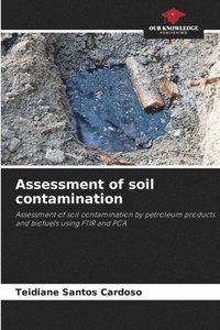bokomslag Assessment of soil contamination
