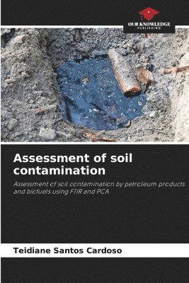 bokomslag Assessment of soil contamination