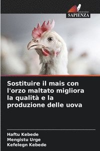 bokomslag Sostituire il mais con l'orzo maltato migliora la qualità e la produzione delle uova