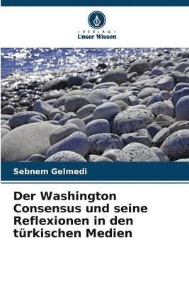 Sebnem Gelmedi - Washington Consensus und seine Reflexionen in den türkischen Medien, Häftad