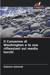 bokomslag Consenso di Washington e le sue riflessioni sui media turchi