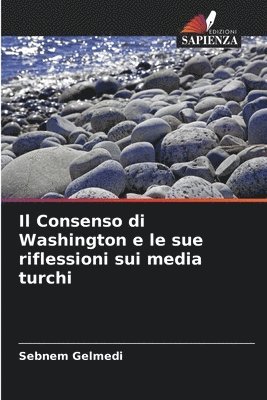 bokomslag Consenso di Washington e le sue riflessioni sui media turchi