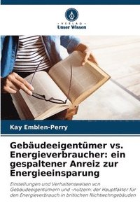 bokomslag Gebäudeeigentümer vs. Energieverbraucher: ein gespaltener Anreiz zur Energieeinsparung